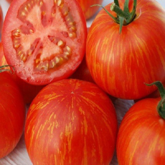 Tomates bigarées de mi-saison Skyreacher