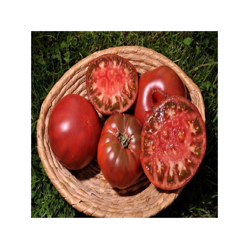 Tomates noires de mi-saison Noire de Crimée