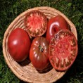 Tomates noires de mi-saison Noire de Crimée
