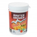 Hydropassion Booster de Floraison Massive Bloom 1Kg