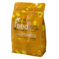 Green House - Powder Feeding Short Flowering 1 Kg