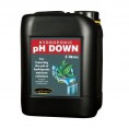 Growth Technology PH Down 5L