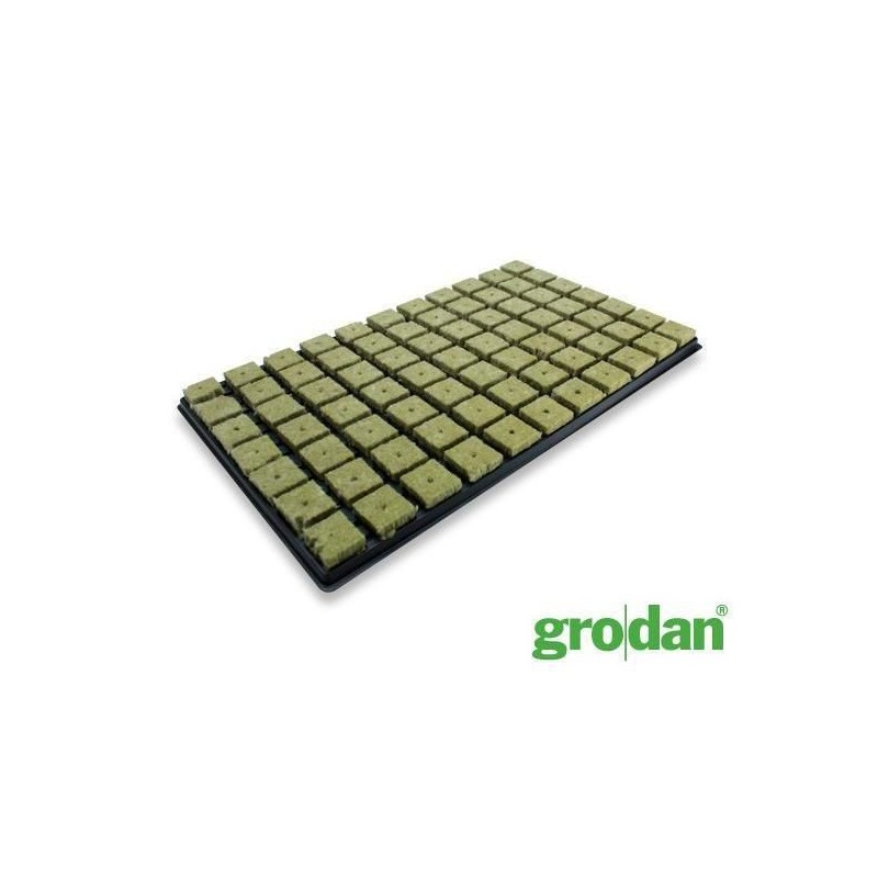 Laine de Roche Grodan Bouchons 3.5x3.5cm Plateau de 77