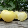 Tomates blanches de mi-saison Grosse Blanche