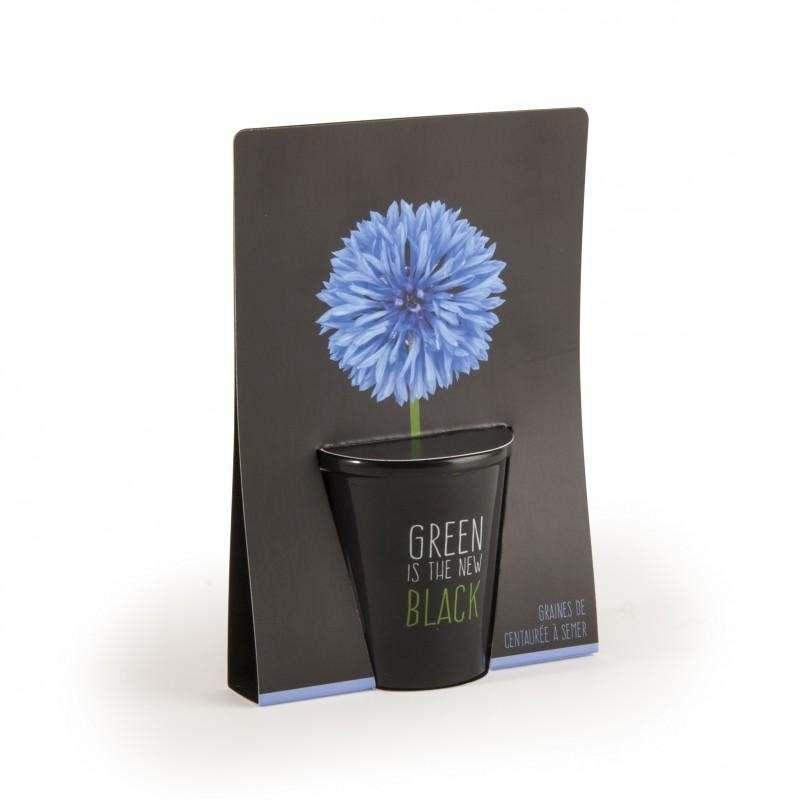 Kit de plantation black - Bleuet