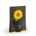 Kit de plantation black - Tournesol