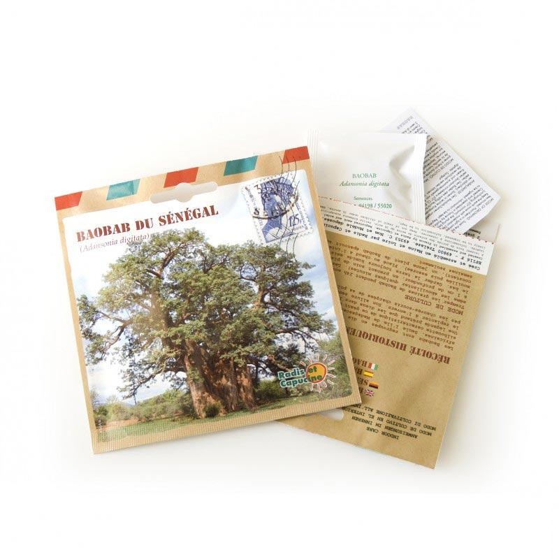 Graines de Baobab du Senegal en sachet