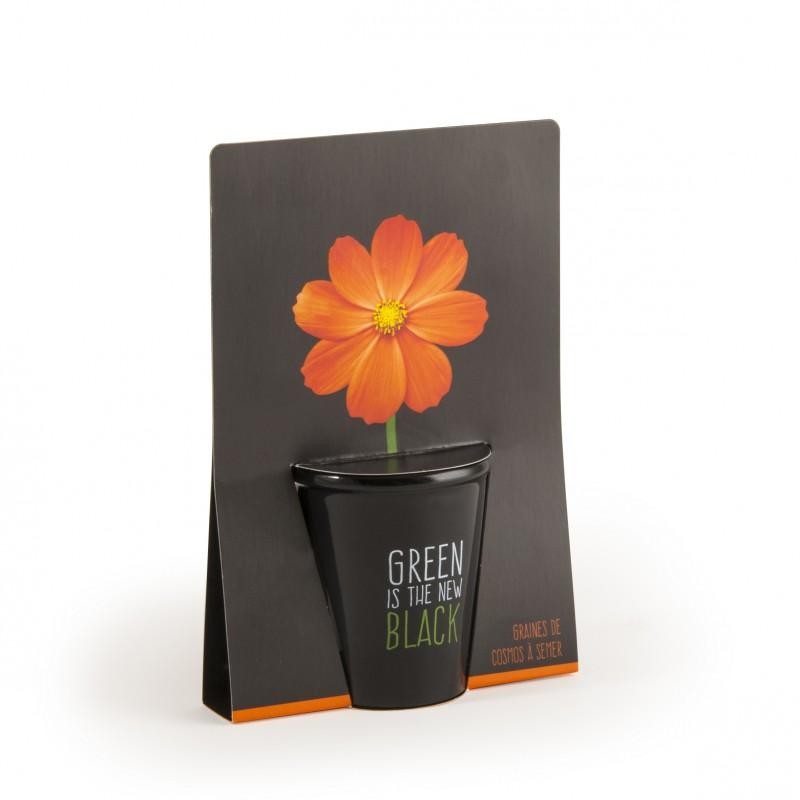 Kit de plantation black - Cosmos orange