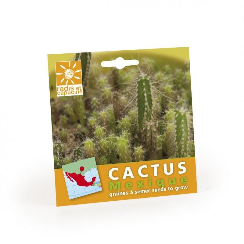 Graines cactus en sachet