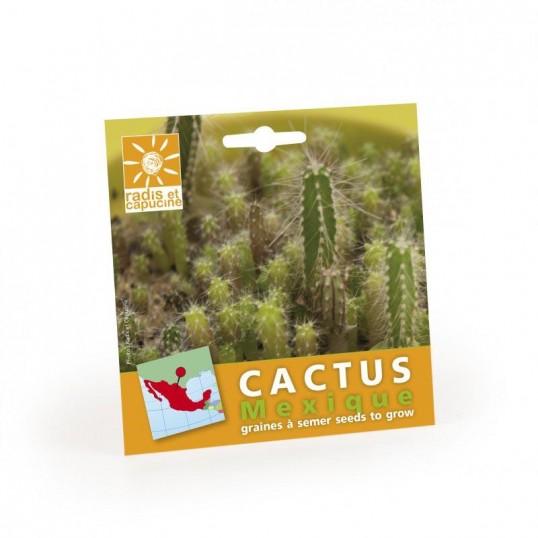 Graines cactus en sachet