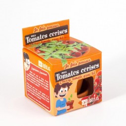 Graines de Tomate Cerise bio en pot de culture pour enfants