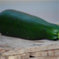 Courgette Verte Non Coureuse des Maraîchers AB