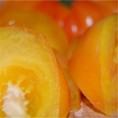 Tomate Ananas (Pinapple) AB