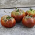 Tomate Noire de Crimée AB