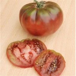 Tomate Noire Russe AB