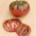 Tomate Noire Russe AB