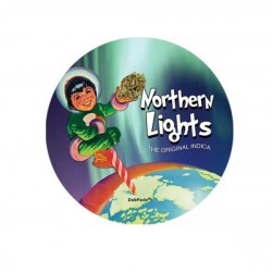 Dabpadz nothern lights 20cm