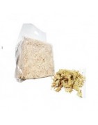 Sphaigne 150gr, 1Kg, 5kg livraison rapide 24-48h