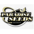 Paradise Seeds