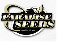 Paradise Seeds