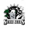Sensi seeds