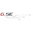GSE